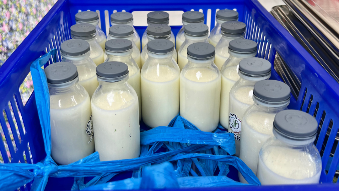 Penjelasan BGN Merangin Soal Manfaat Susu Sebagai Pelengkap Gizi Anak